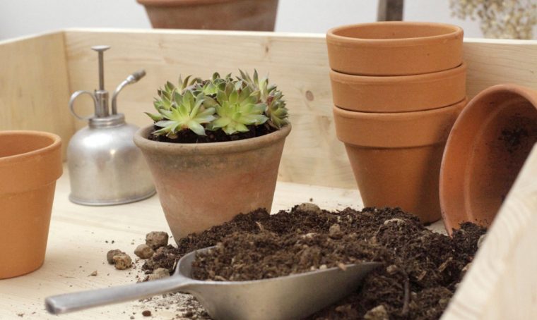 Costruire un piano di lavoro per il tuo giardinaggio