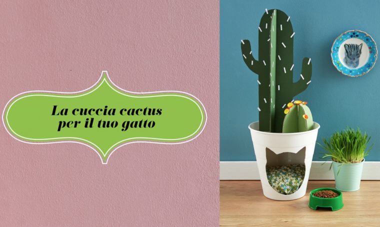 La cuccia cactus fai-da-te per il tuo gatto