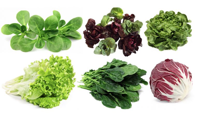6 insalate da coltivare nell’orto