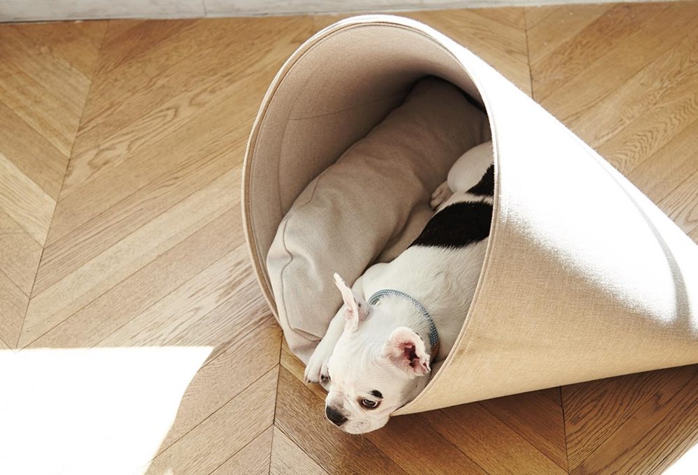 Design e comfort in 10 letti… per cani