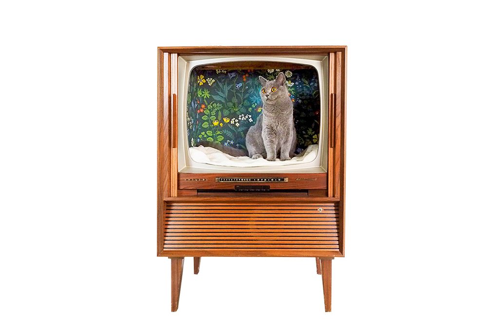 Realizzare la cuccia per il gatto nella televisione vintage