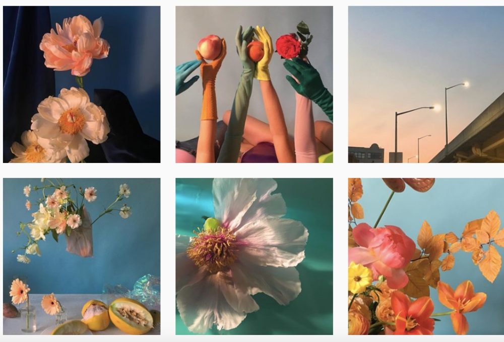 10 profili Instagram per appassionati di fiori