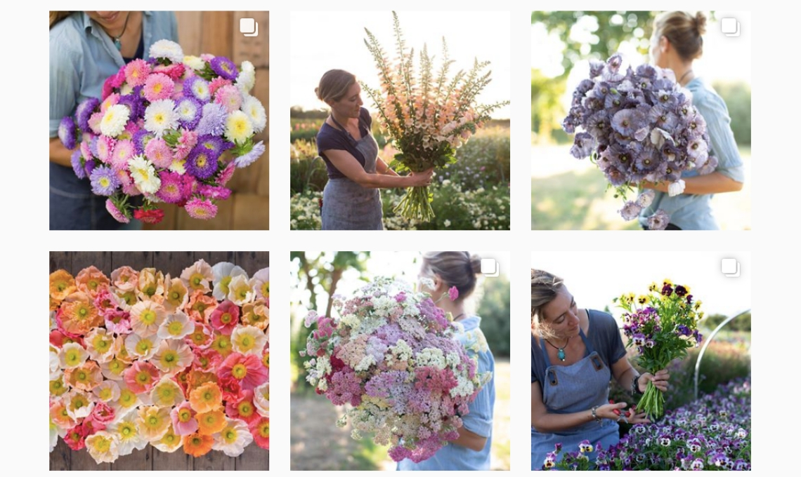 profili instagram fiori