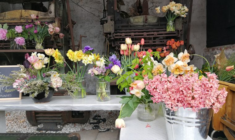 I am a flowerista too: l’evento della Community più colorata di Instagram