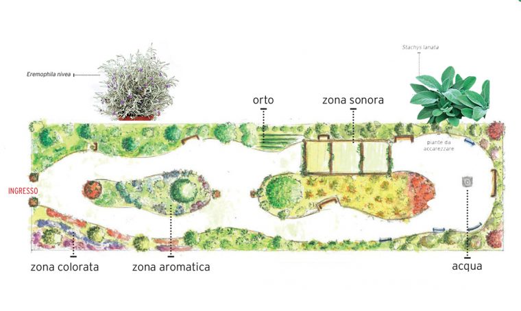 Scopri il ‘green power’ dei giardini terapeutici