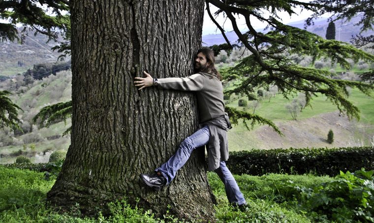 Abbracciare gli alberi fa bene alla salute