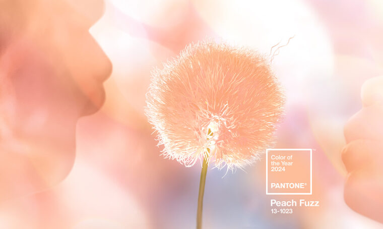 PANTONE 13-1023 Peach Fuzz è il colore dell’anno 2024