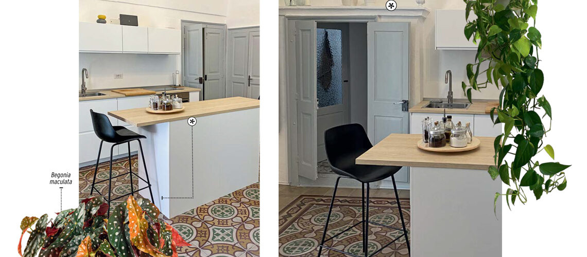 Progettare il verde indoor: casa esposta a sud