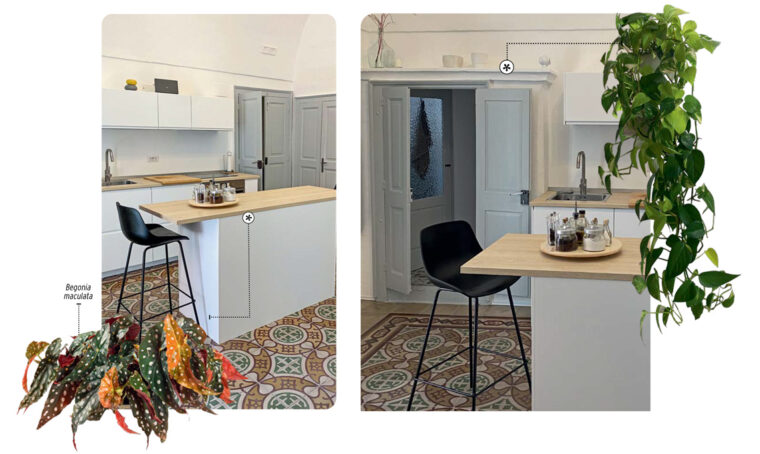 Progettare il verde indoor: casa esposta a sud