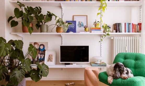 A Treviso un appartamento lievemente rétro, a misura di pets