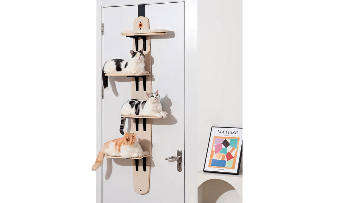 torre per gatti